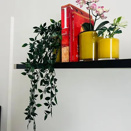 Domus Valente Apartament Pompeja