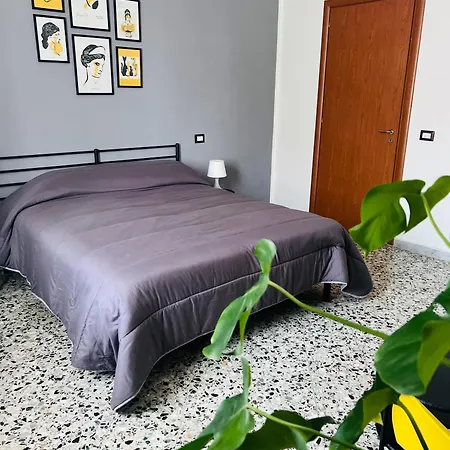 Apartament Domus Valente *